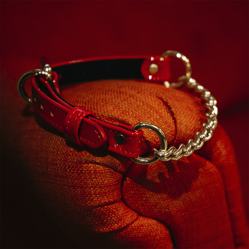 Red Patent collar with chain on the couch