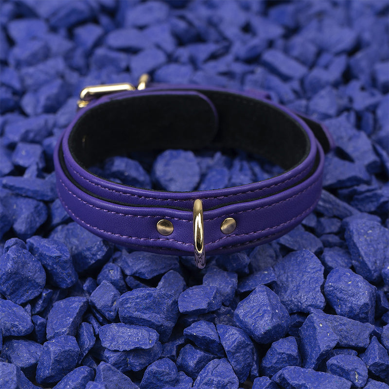 Violet Collar with Soft Suede on Blue Stone