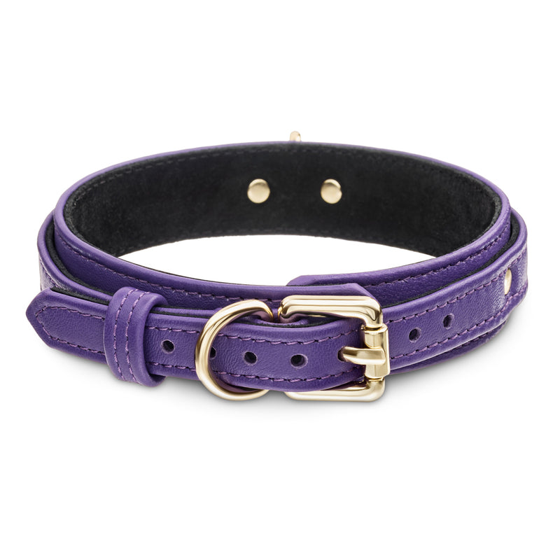 Premium Dog Violet Collar with Soft Suede  Another Side