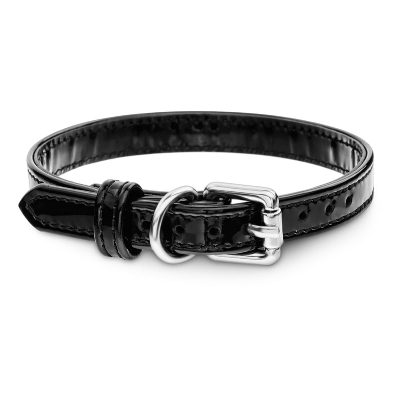 Dog Collar with Silver Hardware