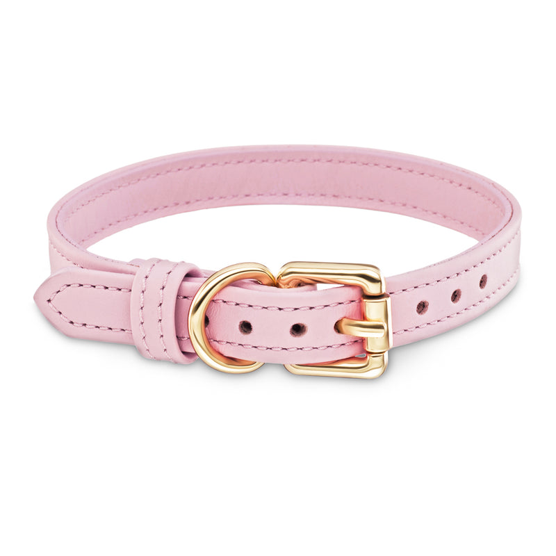 Dog Pink Collar with Gold Hardware