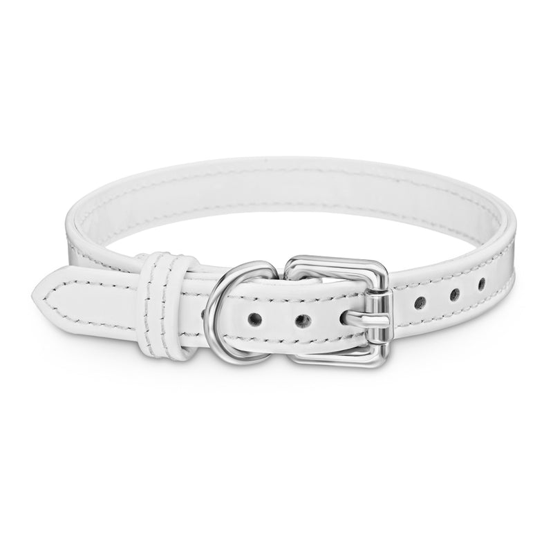 Dog White Patent Collar with Silver Hardware