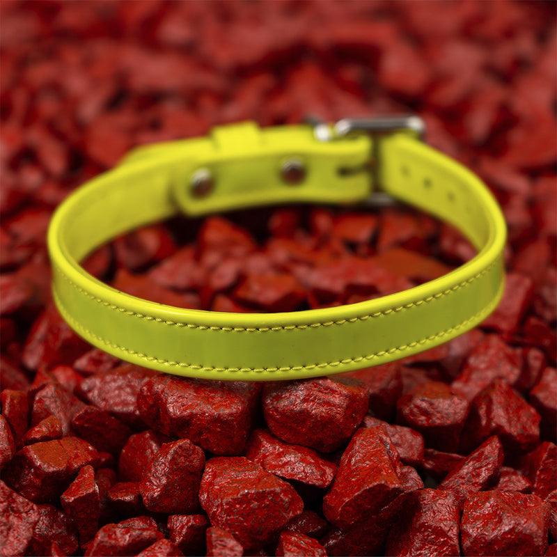 Yellow Neon Collar on Red Stone