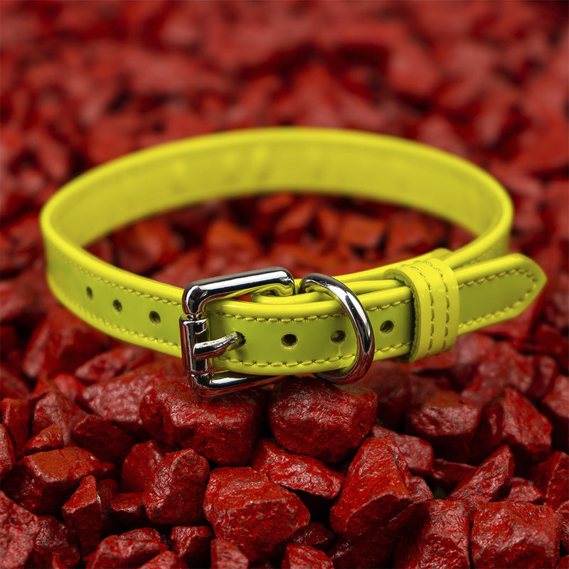 Yellow Neon Collar on Red Stone Another Side