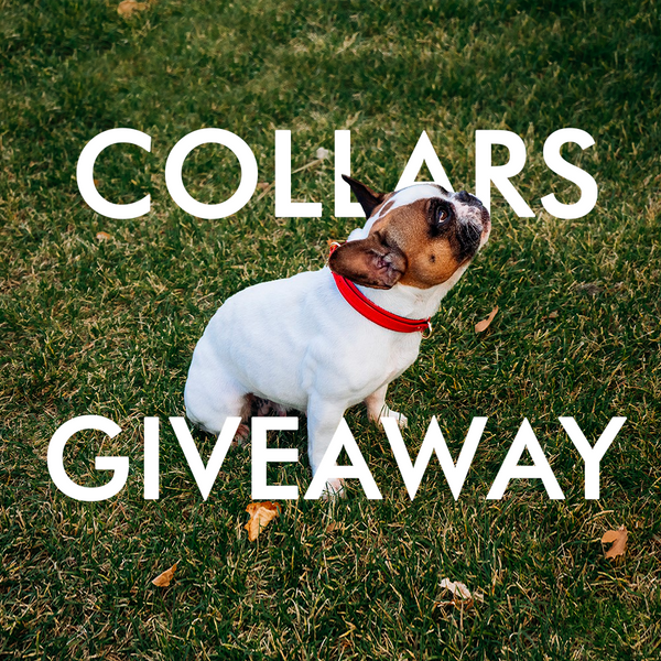 The First Giveaway!