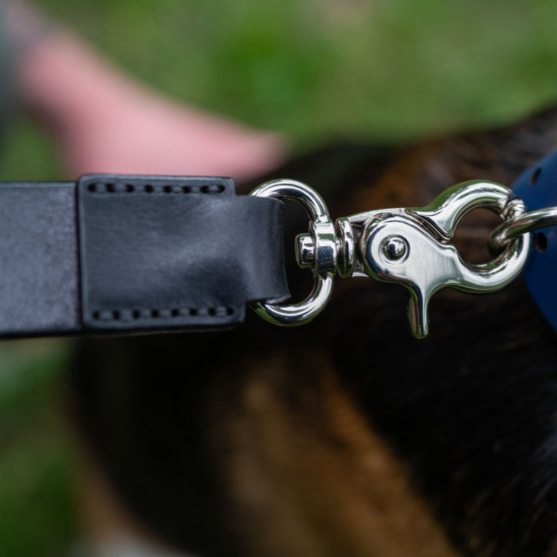 Leash ASH