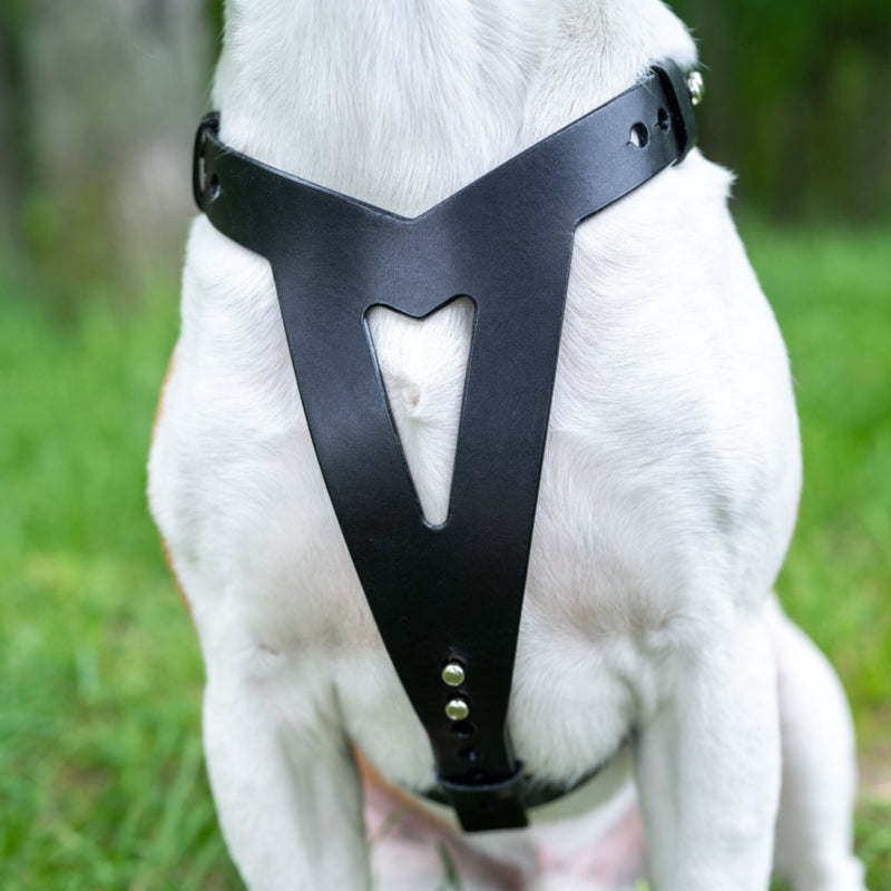BRUTUS Black