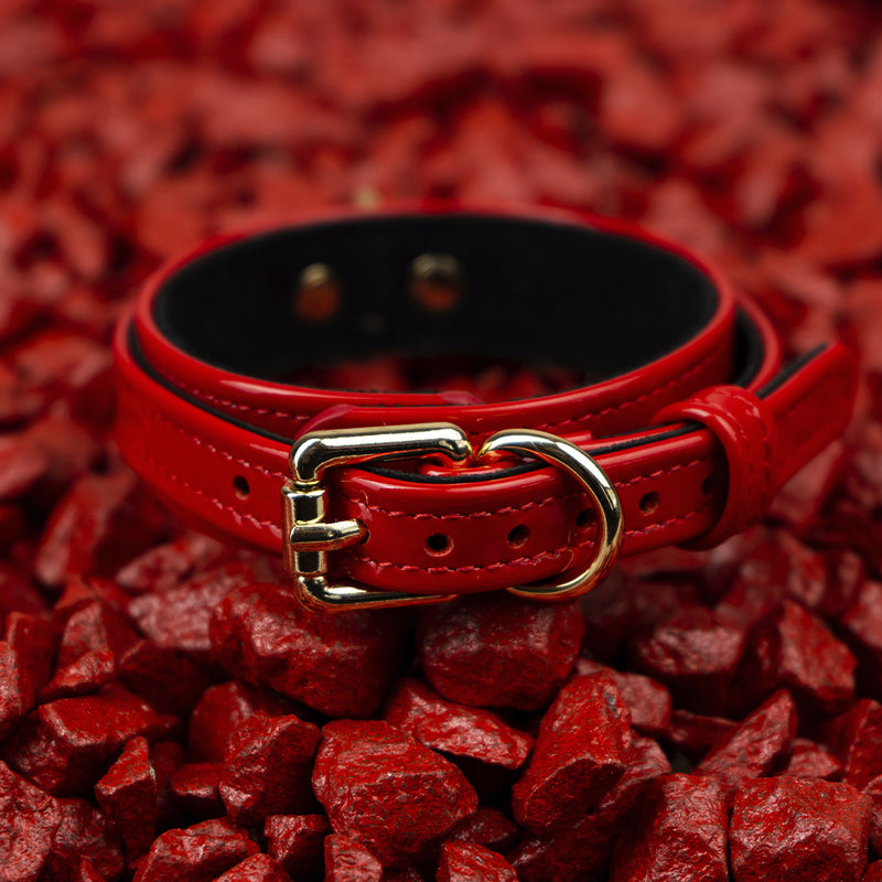 Premium Dog Red Patent Collar with Soft Suede on Red Stone Another Side