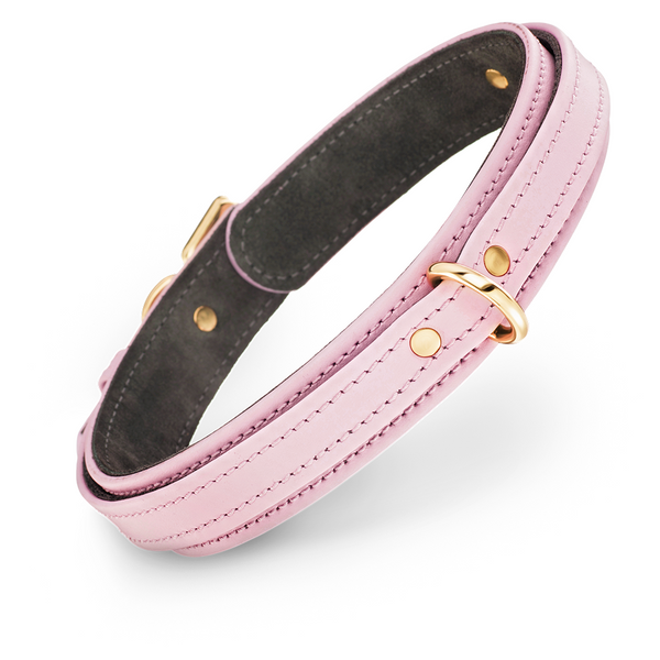 Premium Dog Pink Collar with Soft Suede