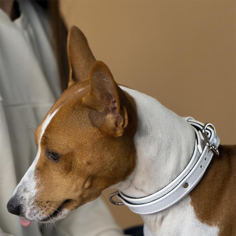 White Patent Collar with Soft Suede on Dog