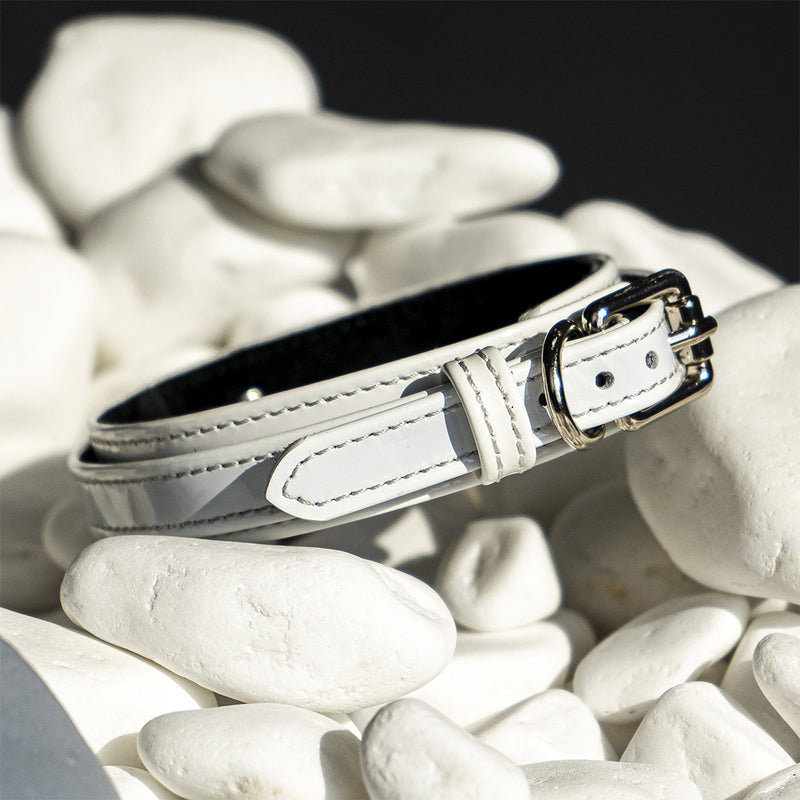 Dog White Patent Collar on White Stone  Another Side