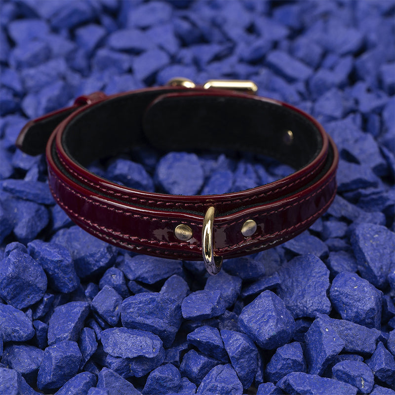 Premium Dog Burgundy Patent Collar with Soft Suede on Blue Stone