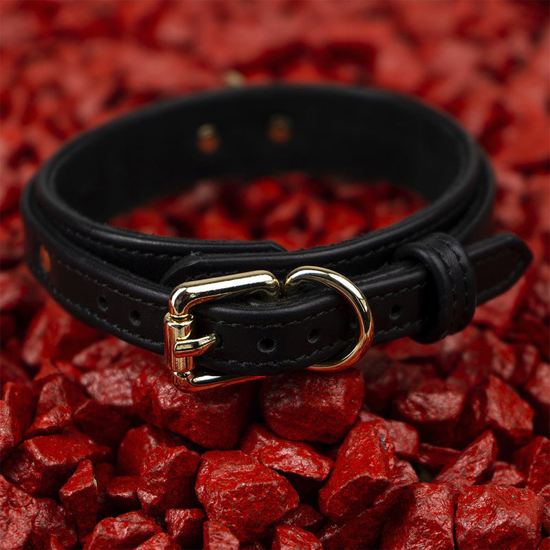 Dog Black Collar with Soft Suede on Red Stone Another Side