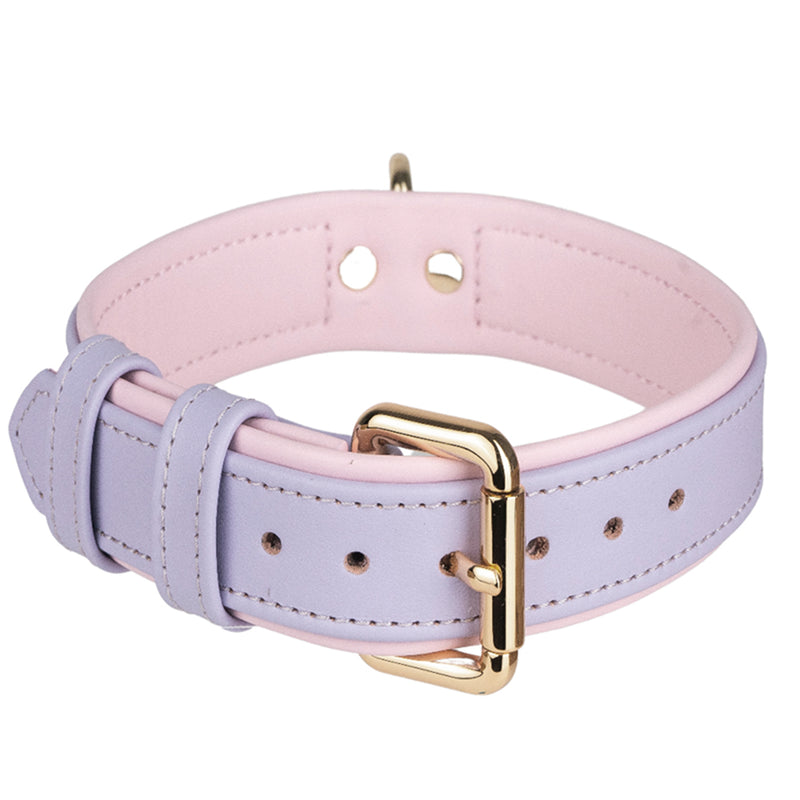 Collar Duo Light Violet-Pink