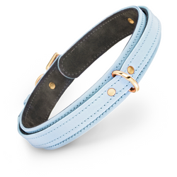 Premium Dog Light Blue Collar with Soft Suede