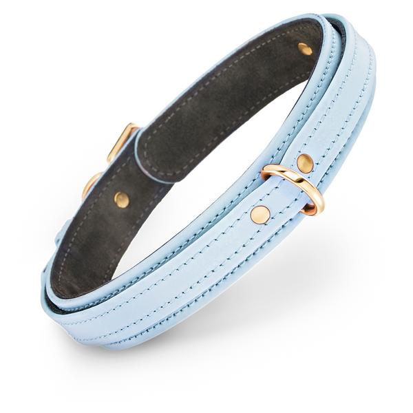 Premium Dog Light Blue Collar with Soft Suede