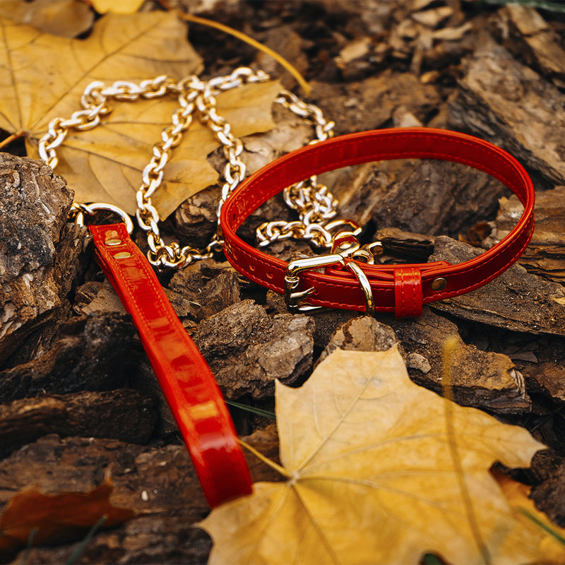 Dog Red Patent Collar and Leash with Autumn Leaves