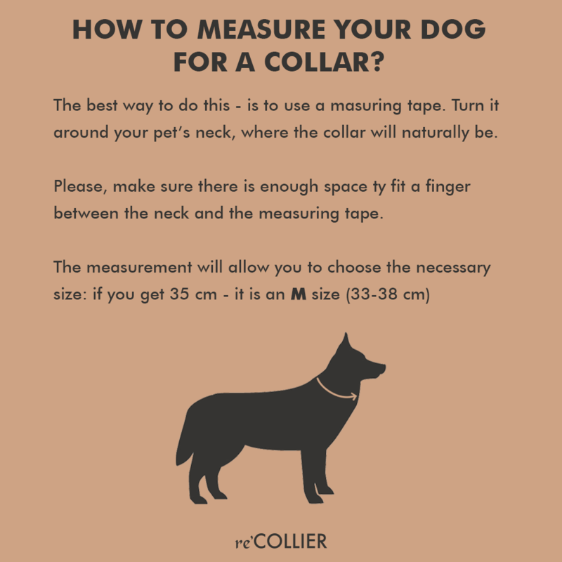 how to measure your dog for a collar