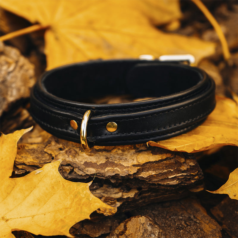 Dog Black Collar with Soft Suede with Autumn Leaves