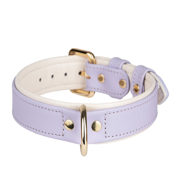 Collar Duo Light Violet-Beige