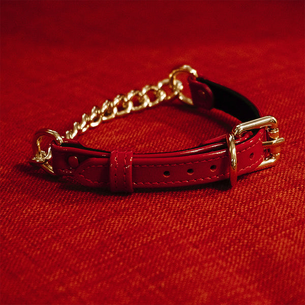 Red Patent collar with chain on red background