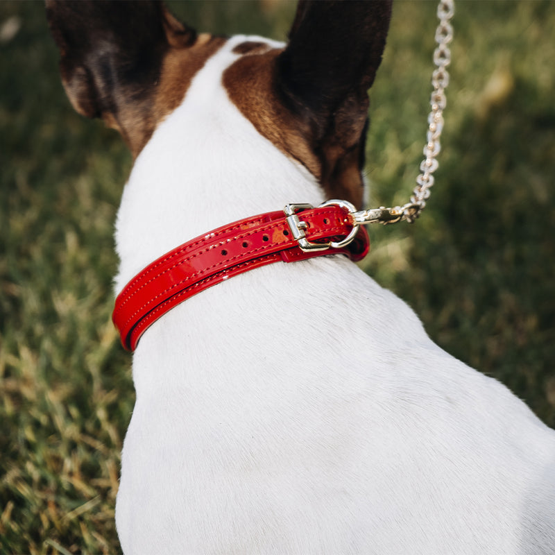 Recollier Red Patent Collar and Chain Leash on Dog