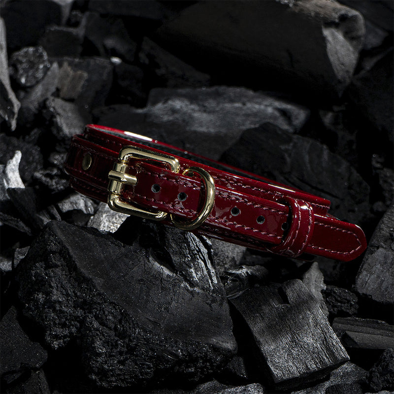 Dog Burgundy Patent Volt Collar on Coals