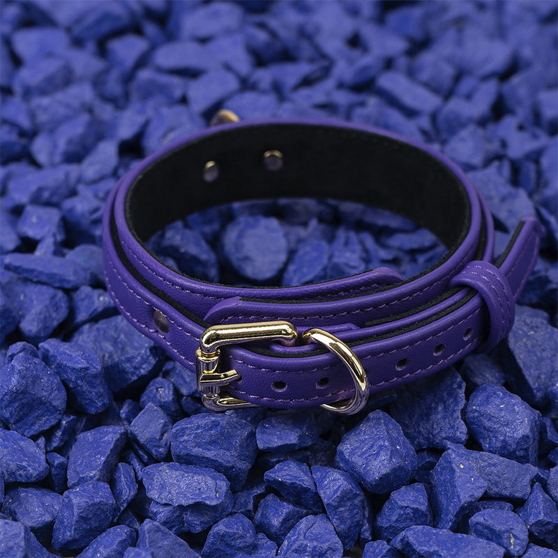 Violet Collar with Soft Suede on Blue Stone Another Side