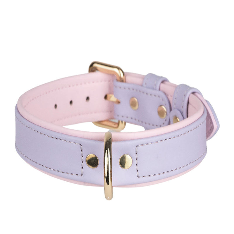 Collar Duo Light Violet-Pink