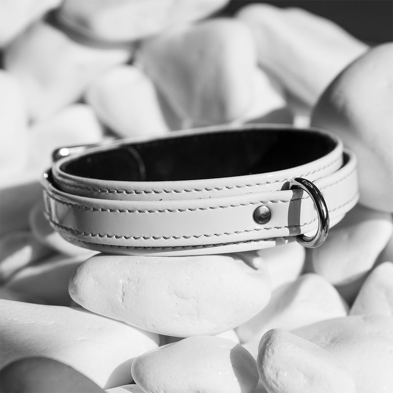 Dog White Patent Collar on White Stone