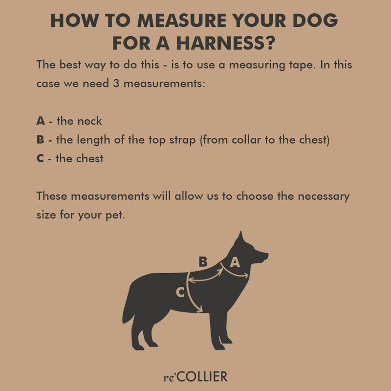 recollier harness size chart