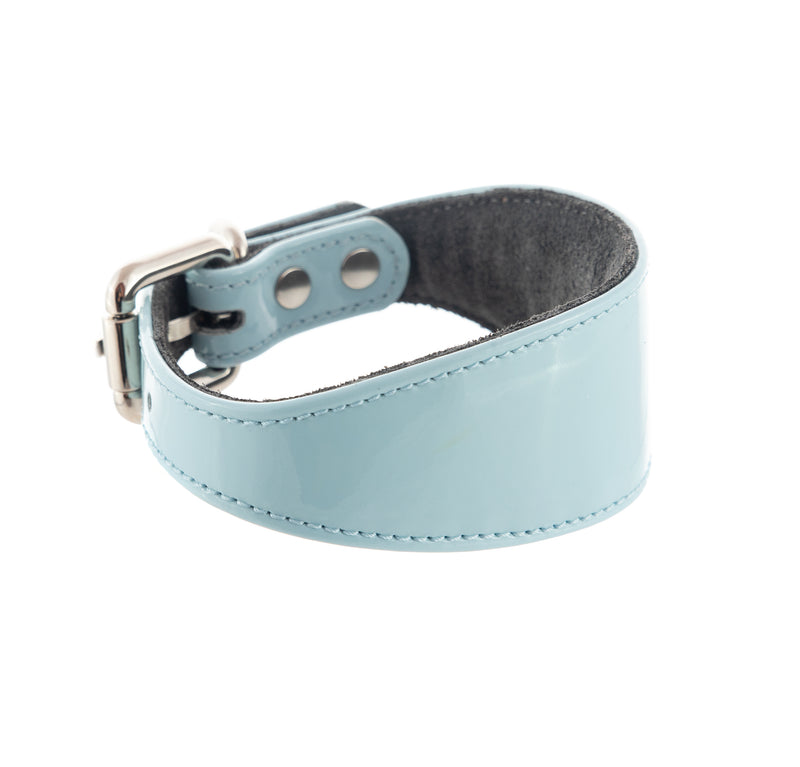 Sighthound collar ACE soft Sky blue Patent