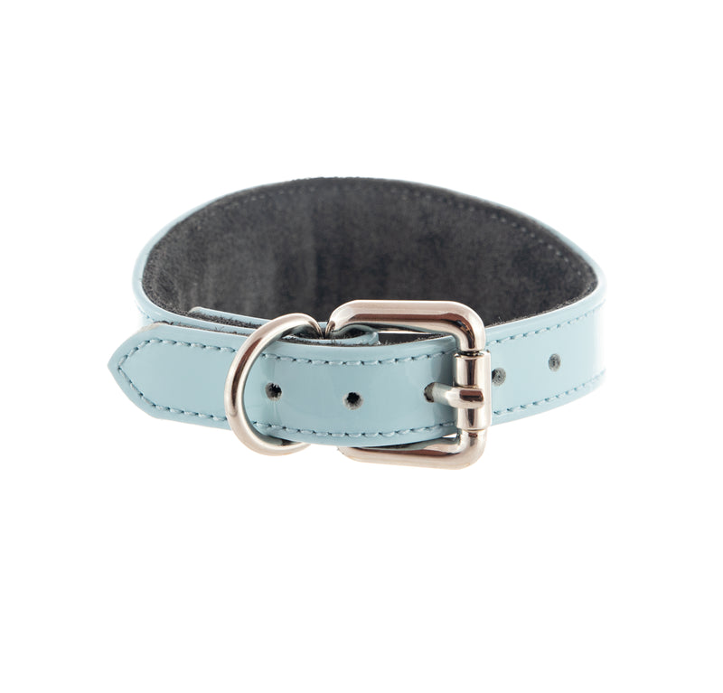 Sighthound collar ACE soft Sky blue Patent