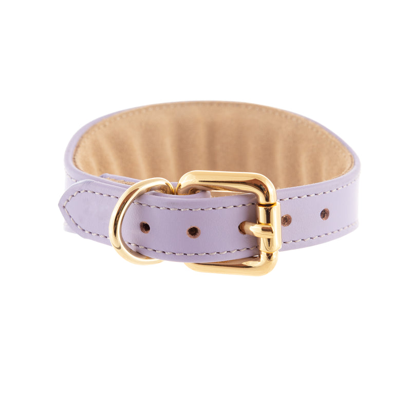 Sighthound collar ACE soft Light Violet