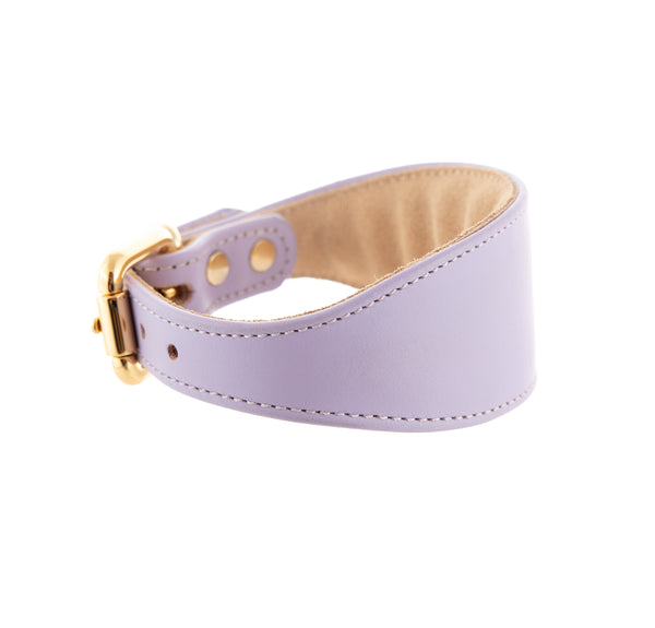 Sighthound collar ACE soft Light Violet