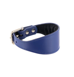 Sighthound collar ACE soft Electric blue