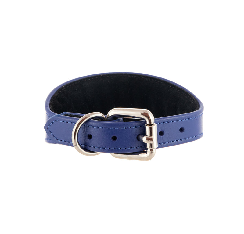 Sighthound collar ACE soft Electric blue