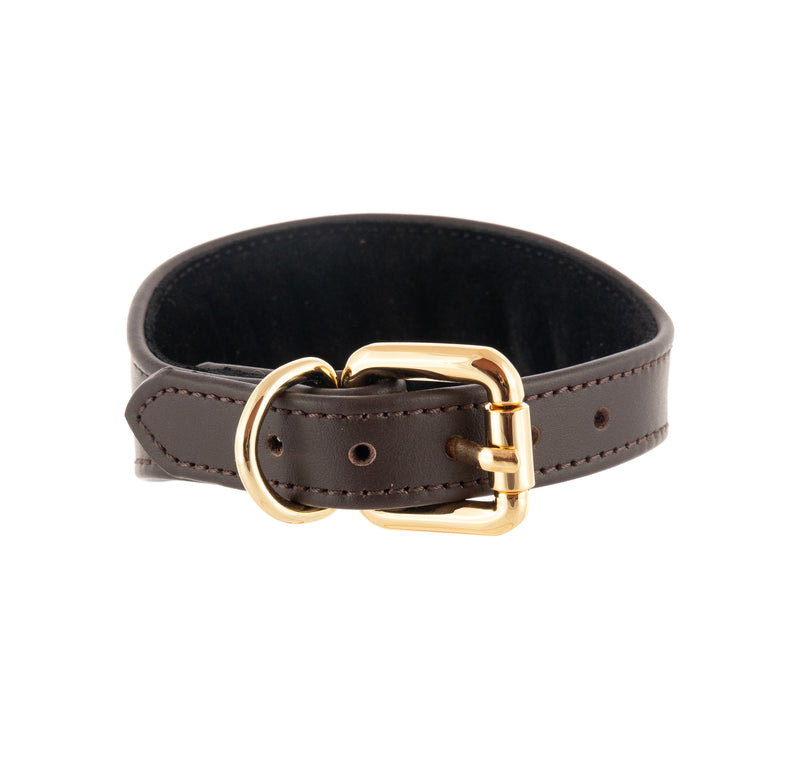 Sighthound collar ACE soft Dark Chocolate