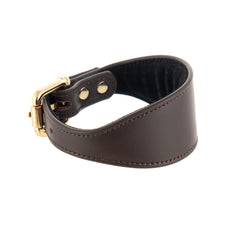 Sighthound collar ACE soft Dark Chocolate