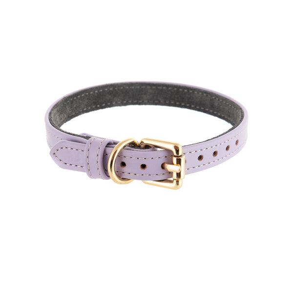 Necklace Proto Light Violet