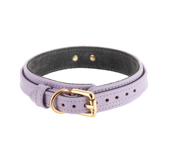 Necklace Volt Light Violet