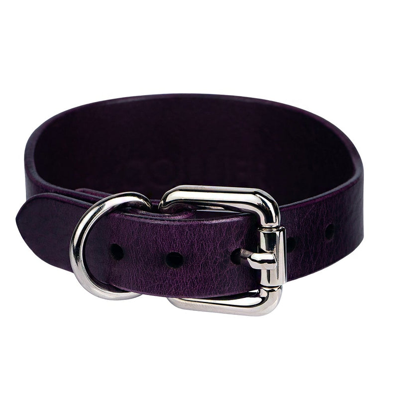 Lurcher Leather Сollar Violet with Silver Hardware