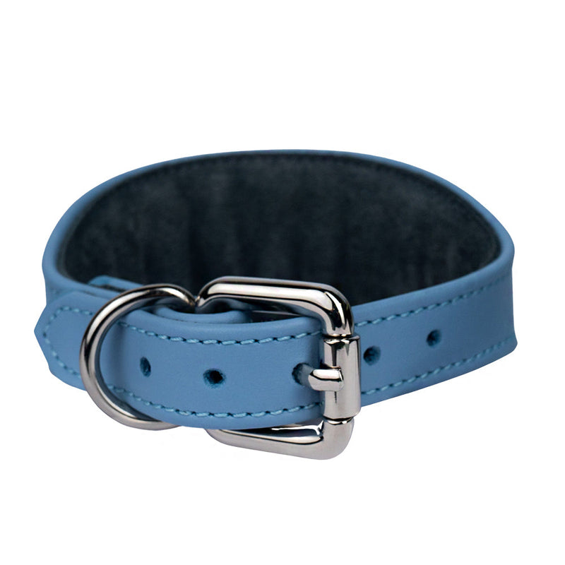 Lurcher Leather Сollar soft Light Blue with Silver Hardware