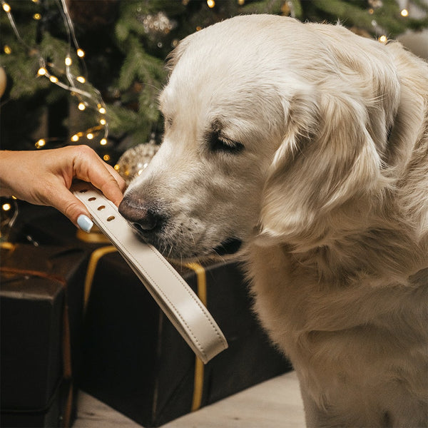 Leashes CTRL Beige with Dog