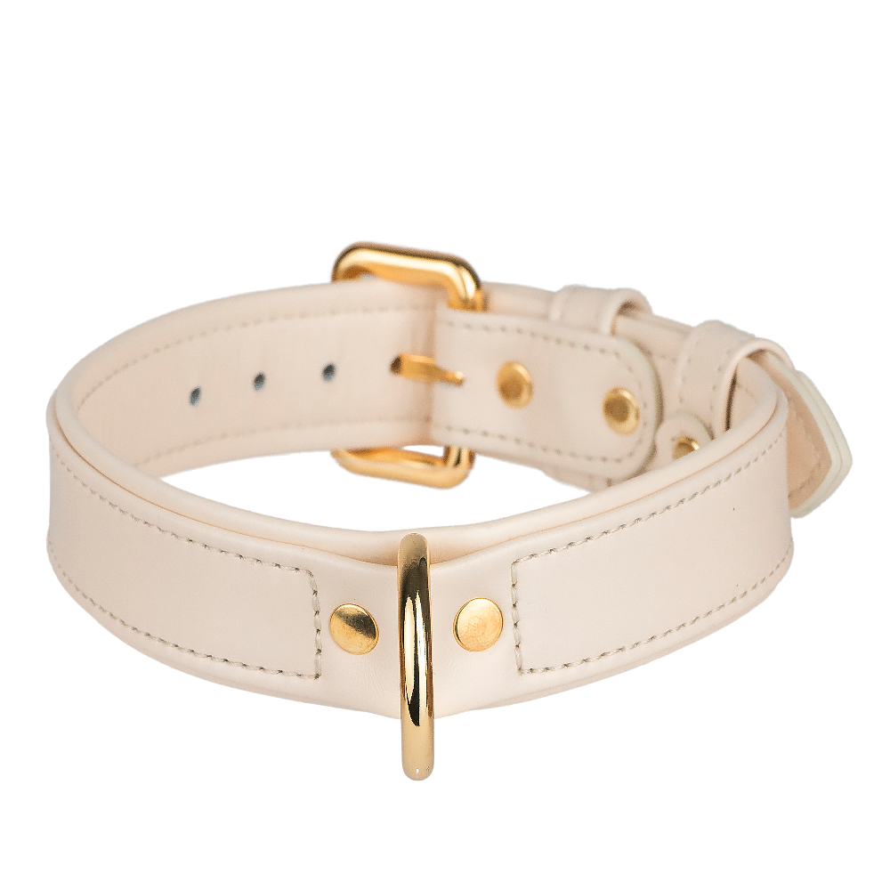 Beige leather best sale dog collar