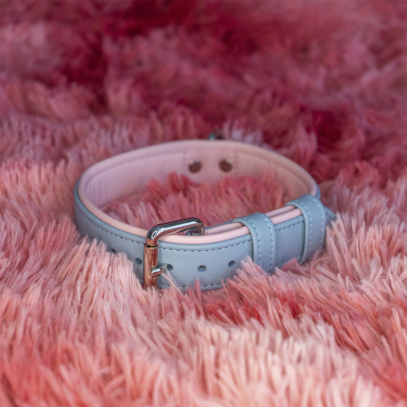 Personalized Dog Collar Leather