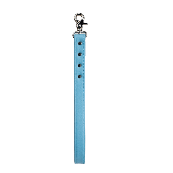 Designer Dog Blue Leash