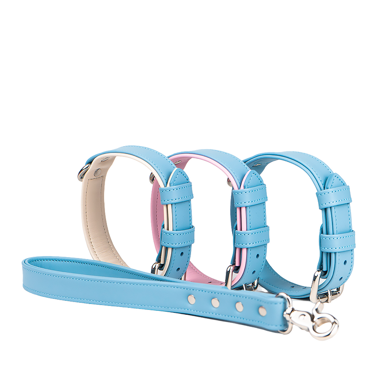 different variants of blue collars to the leash