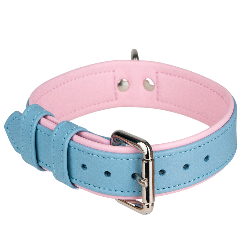 Blue-Pink Pet Collar