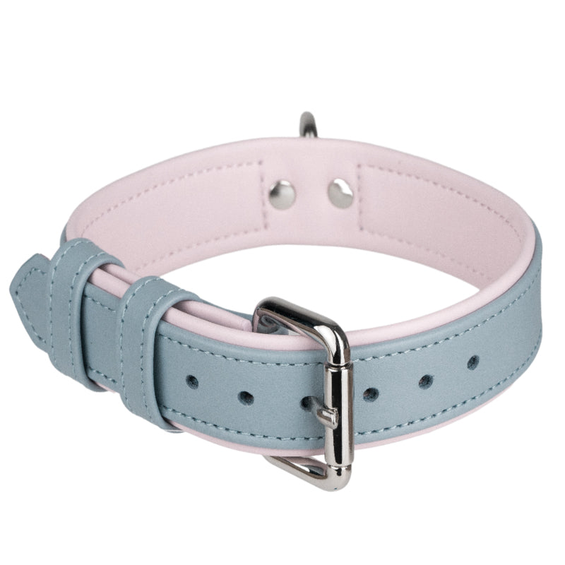 Collar Duo Light Blue-Pink